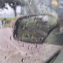 토마스동물병원 이미지