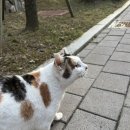 이야급식소
