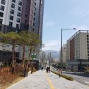 은평마리약국 네이버블로그