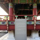 치유의 숲 야영장 | 고흥 팔영산 능가사를 따라 편백 치유의 숲까지