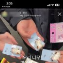 새롬마그네틱