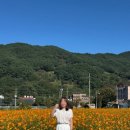 구례군청소년수련원 이미지