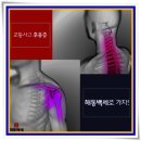 서포한의원 네이버블로그