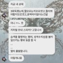 신촌여인숙 | [송도라이프?] 12월 - Bring me back to life