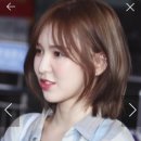 엘렌헤어 이미지