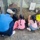 큰빛농장 이미지