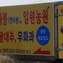 라봉농원 네이버블로그