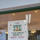 롯데지알에스(주) 크리스피크림도넛 | 크리스피크림도넛 반값 할인 방법 하프더즌 1+1 수요일 이벤트 구매후기♡