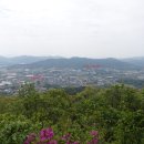 죽림산 정상 이미지