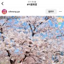 리클라인커피 이미지