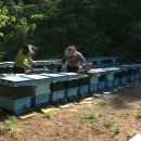 신기농원 이미지