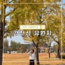 선흘1리보건진료소 | 여주 강천섬 유원지 힐링문화축제 및 은행나무 실시간 현황