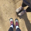 정재초교길 이미지