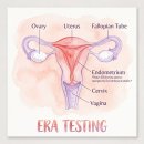 베스트오브미여성의원 | 난임 이야기 - 자궁내막 타이밍, 배란일보다 중요한 이유 by 베스트오브미 여성의원 송인옥 대표원장