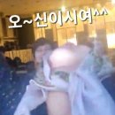 케이와이식품