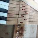 현대엘림 이미지