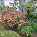 2호선 벡스코역 (시립미술관역) | 해운대자이1단지2013년대비507,000,000원상승과전고점(2021년)대비138,000,000원 하락한 82.61A㎡/59.52...