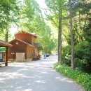 장태산휴양림 이미지