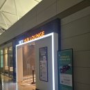 새각 | [인천공항] &#39;탑승동 스카이 허브 라운지&#39; 후기 - 할인 받는법, 운영시간, 가격, 위치 etc