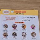 대우사랑유치원 | 🐶부산 광안리 애견카페 피피피｜비오는 날 강아지랑 가기 좋은 실내 놀거리 내돈내산