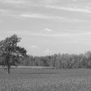 축사랑목장 이미지