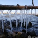 전라빵집 이미지