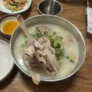 주정차19 | 제주도 협재 맛집 서쪽맛집 접짝뼈국 맛집 일억조 내돈내산 후기(+주차정보)