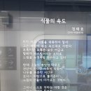 식물의 속도 - 정태호 이미지