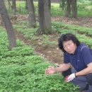 백삼농장 이미지