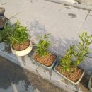 서울축산업협동조합 사료사업본부 이미지