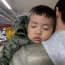 노한도 농장 이미지