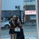 진작카키
