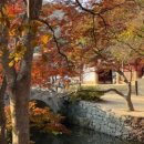 크크크 키즈풀빌라(나) 이미지