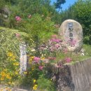 참솔농장 이미지