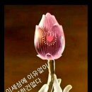 해맞이동산 이미지