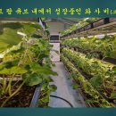 삼단지농장 이미지