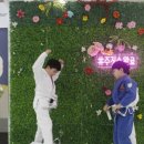 팀루츠 이미지