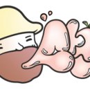 H K 농장 이미지