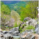 월성농산 - 부산진구 백양순환로10번길 13-1 | 월성농산
