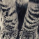 그린빌할인마트 이미지