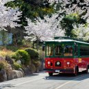 ㈜서울씨티투어 이미지