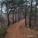 조산공원길 이미지