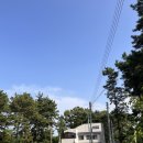 네이베이D | [대부도풀빌라/펜션] 대부도 Naybay 네이베이 풀빌라 D동 후기 (애견동반가능/키즈풀빌라)