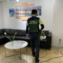 에코클린방역