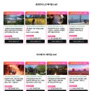 휘트니스 인앤아웃 | 미국 입국심사 영어 질문 리스트 mpc 후기 la 여행 준비물 이스타 esta 신청 비자 발급 LA 공항 이심 esim