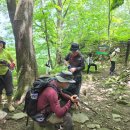 2026.05.24 부처님 오신날 조계산 산행(leading by 철승 수석운영장님~) 이미지