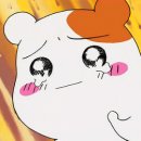 주말 서울 살아보기#3 / 상봉역 에어비앤비, 방어회, 신논현역 무신사 쇼핑, 교보문고