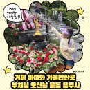 문화가 있는 날 거리공연 | 거제 아이랑 가볼만한곳｜부처님오신날 용주사 라라마켓 및 마술쇼 후기