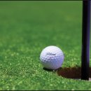 알바트로스골프장 이미지