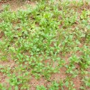 선우정경로당 이미지